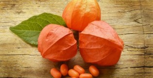 Лучшая Ашваганда на iHerb, рейтинг с отзывами, как выбрать и правильно принимать