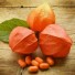 Лучшая Ашваганда на iHerb, рейтинг с отзывами, как выбрать и правильно принимать