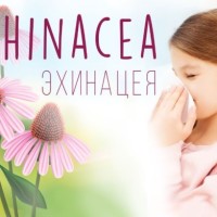 Эхинацея для детей на iHerb