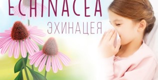 Эхинацея для детей на iHerb