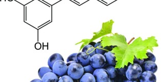 Лучший ресвератрол на iHerb, рейтинг с отзывами, как выбрать и правильно принимать