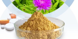 Лучший силимарин на iHerb, рейтинг с отзывами, как выбрать и правильно принимать