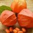 Лучшая Ашваганда на iHerb, рейтинг с отзывами, как выбрать и правильно принимать