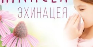 Эхинацея для детей на iHerb